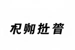 《彩排第七夜》替身署名名单