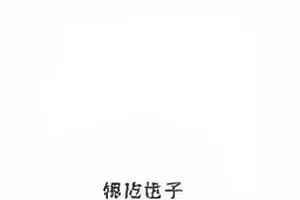《造型间风暴》服装预算清单